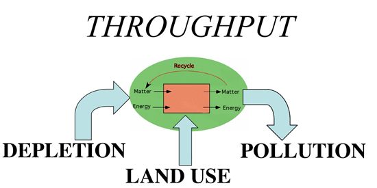 Throughput Diagram
